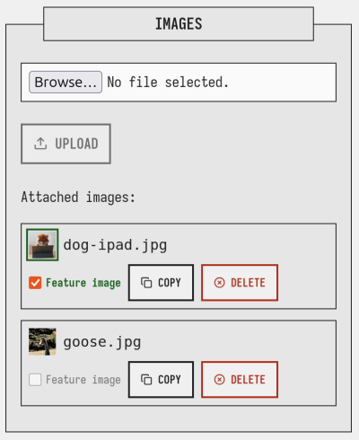 feature-image-demo